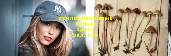 гидропоника Алексеевка