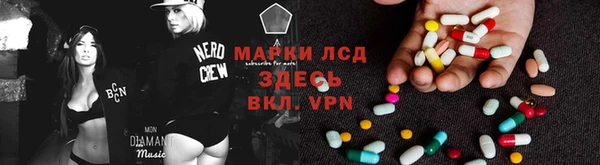 ПСИЛОЦИБИНОВЫЕ ГРИБЫ Алзамай