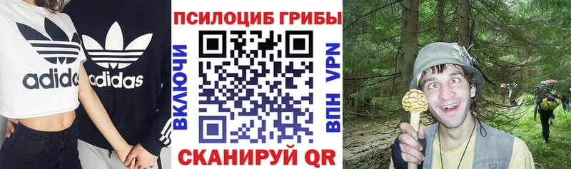 гидра ONION Электрогорск Галлюциногенные грибы мухоморы